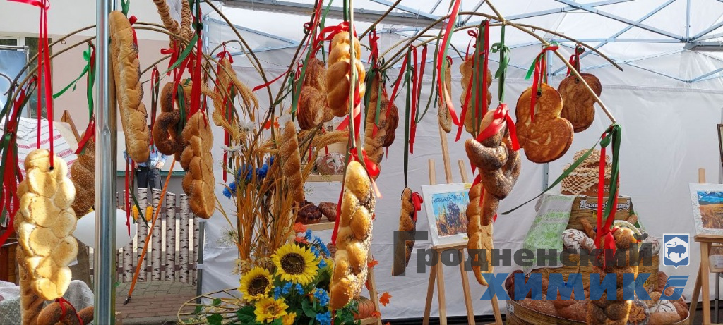 Областные «Дожинки» 2023 года прошли в Зельве